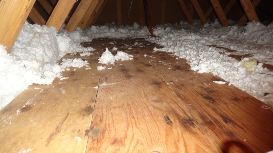 Do You Have Dangerous Mold In Your Attic On Top Home Improvements Inc