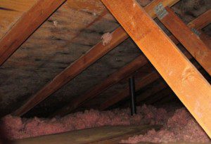 mold inside roof